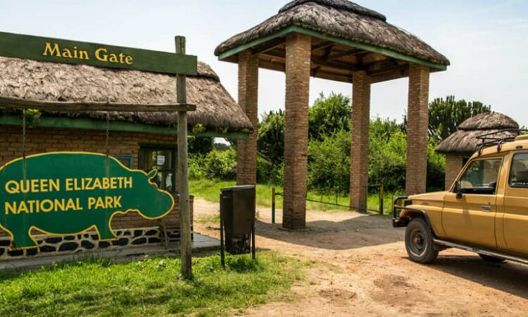 3 Days Queen Elizabeth National Park Wildlife Safari