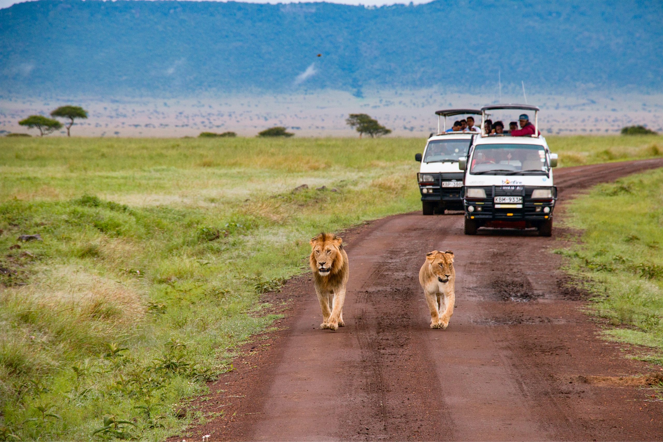 10 Days Uganda-Kenya Safari Adventure
