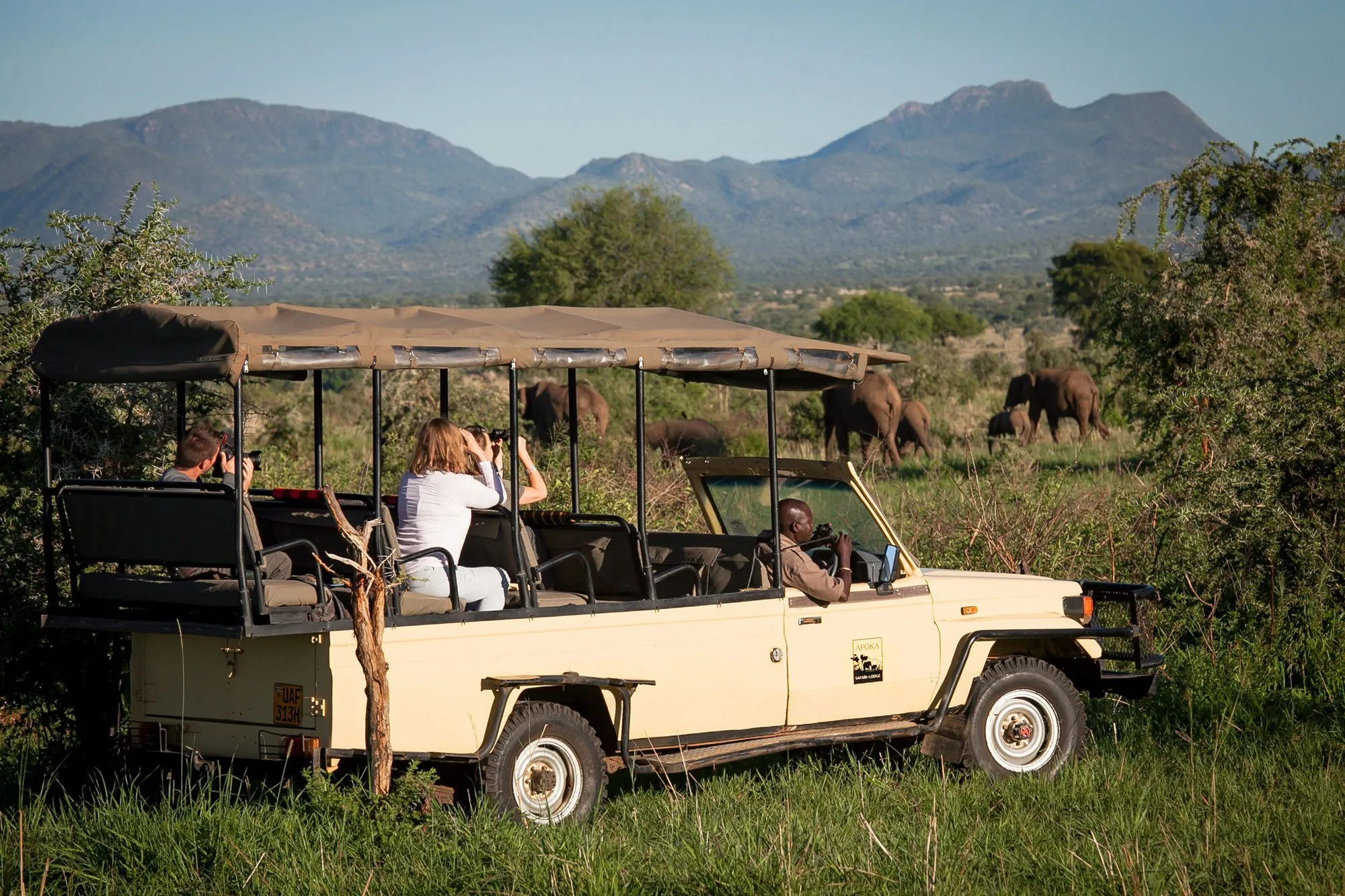 4 Days Kidepo Valley National Park Safari