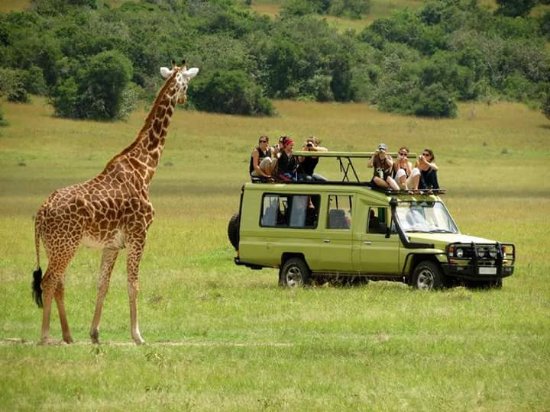 8 Days Uganda Wildlife Safari