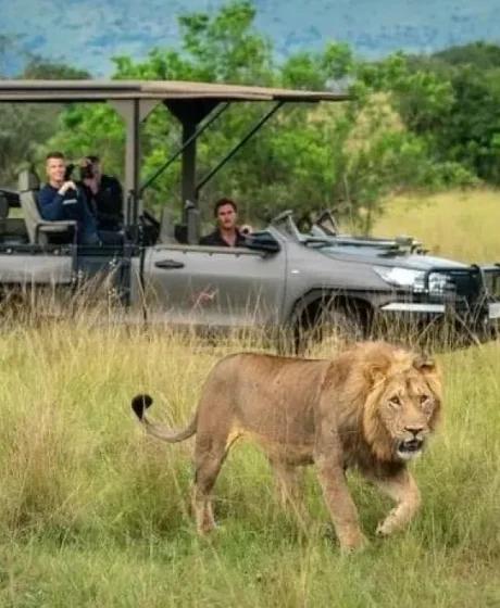 Luxury-Uganda-Safari-tours